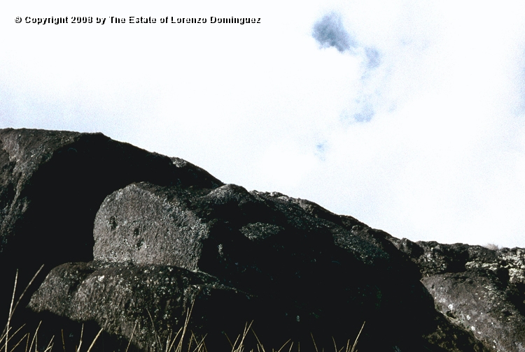 RRI_Cantera_Interior_04.jpg - Easter Island. 1960. Moai on the interior quarry of Rano Raraku.