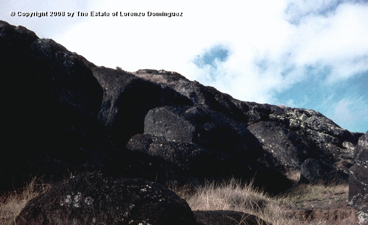 RRI_Cantera_Interior_05.jpg - Easter Island. 1960. Moai on the interior quarry of Rano Raraku.