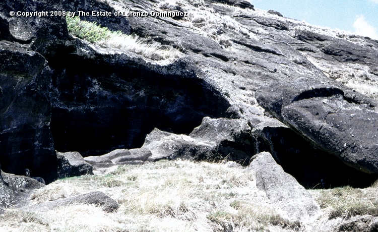 RRI_Cantera_Interior_15.jpg - Easter Island. 1960. Moai on the interior quarry of Rano Raraku.