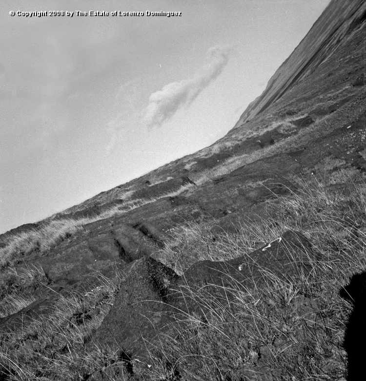 RRI_Cantera_Interior_21.jpg - Easter Island. 1960. Interior slope of Rano Raraku. View of the quarry.
