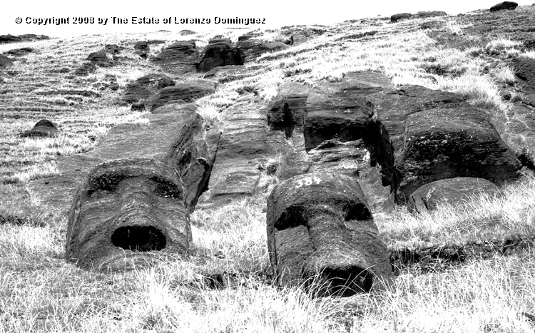 RRI_Cantera_Interior_22.jpg - Easter Island. 1960. Moai on the interior quarry of Rano Raraku.