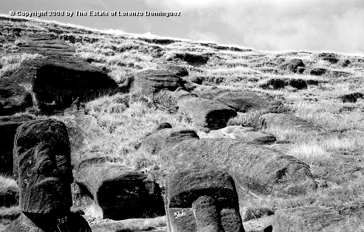 RRI_Cantera_Interior_27.jpg - Easter Island. 1960. Interior quarry of Rano Raraku.