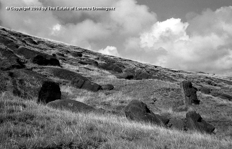 RRI_Cantera_Interior_30.jpg - Easter Island. 1960. Interior quarry of Rano Raraku.