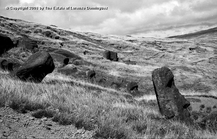 RRI_Cantera_Interior_31.jpg - Easter Island. 1960. Interior quarry of Rano Raraku.