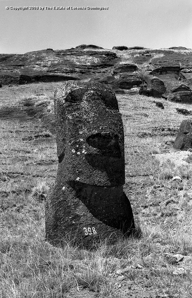 RRI_El_Cimabue_06.jpg - Easter Island. 1960. Moai on the interior slope of Rano Raraku. Lorenzo Dominguez called this moai "Cimabue."