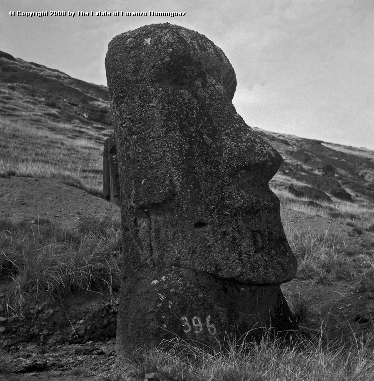 RRI_El_Cristo_02.jpg - Easter Island. 1960. Moai on the interior slope of Rano Raraku. Lorenzo Dominguez called this moai "The Christ" because it reminded him of a romanic image of Christ he had seen at the Louvre.