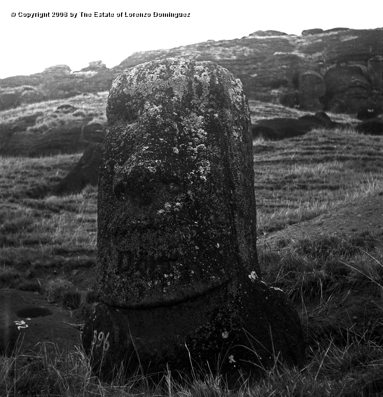 RRI_El_Cristo_05.jpg - Easter Island. 1960. Moai on the interior slope of Rano Raraku. Lorenzo Dominguez called this moai "The Christ" because it reminded him of a romanic image of Christ he had seen at the Louvre.