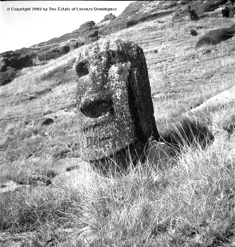 RRI_El_Cristo_06.jpg - Easter Island. 1960. Moai on the interior slope of Rano Raraku. Lorenzo Dominguez called this moai "The Christ" because it reminded him of a romanic image of Christ he had seen at the Louvre.