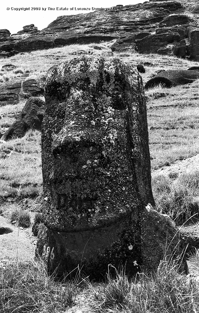 RRI_El_Cristo_08.jpg - Easter Island. 1960. Moai on the interior slope of Rano Raraku. Lorenzo Dominguez called this moai "The Christ" because it reminded him of a romanic image of Christ he had seen at the Louvre.