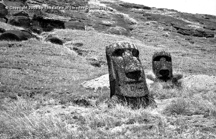 RRI_El_Cristo_09.jpg - Easter Island. 1960. Two moai on the interior slope of Rano Raraku. Lorenzo Dominguez called the moai on the left "The Christ" because it reminded him of a romanic image of Christ he had seen at the Louvre.