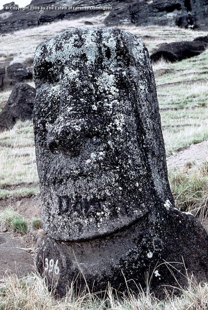 RRI_El_Cristo_11.jpg - Easter Island. 1960. Moai on the interior slope of Rano Raraku. Lorenzo Dominguez called this moai "The Christ" because it reminded him of a romanic image of Christ he had seen at the Louvre.