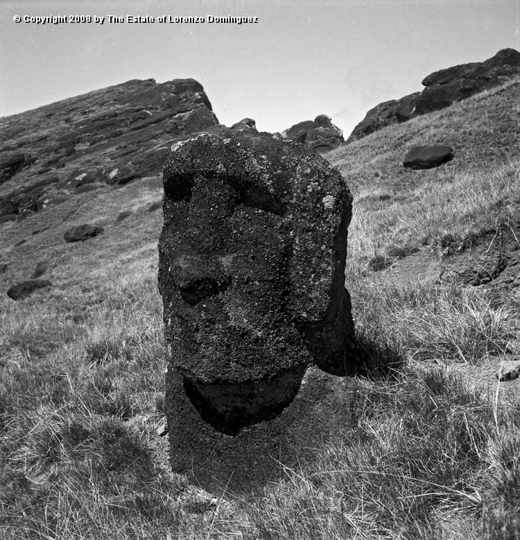RRI_Extrano_Moai_02.jpg - Easter Island. 1960. Strange moai on the interior slope of Rano Raraku.