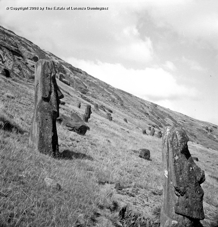 RRI_Ladera_Interior_01.jpg - Easter Island. 1960. Moai on the interior slope of Rano Raraku. General view.