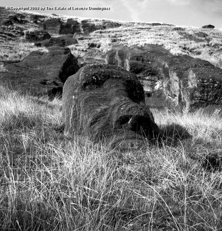 RRI_Ladera_Interior_03.jpg - Easter Island. 1960. Moai on the interior slope of Rano Raraku. Moai buried up to the chin.