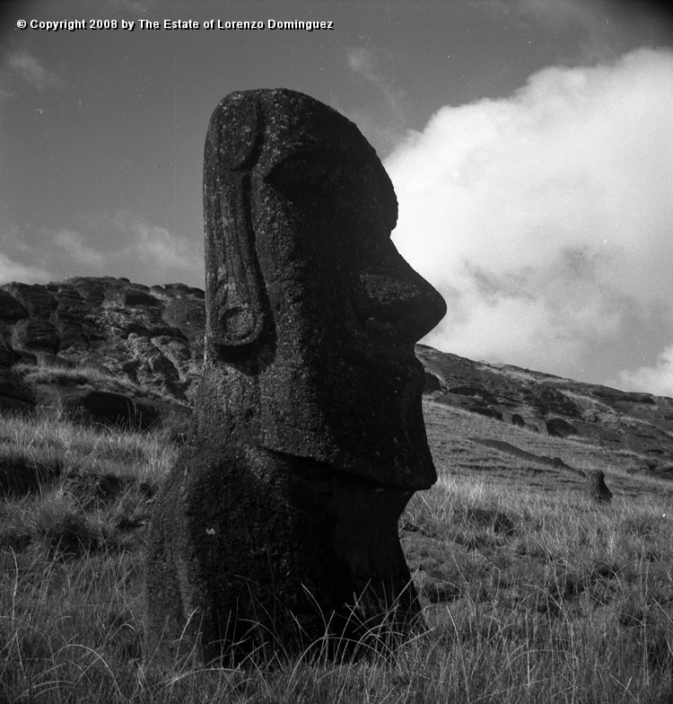 RRI_Ladera_Interior_04.jpg - Easter Island. 1960. Moai on the interior slope of Rano Raraku.