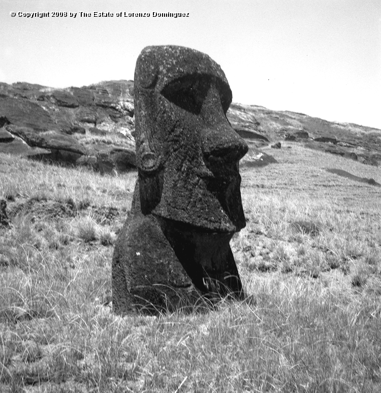 RRI_Ladera_Interior_05.jpg - Easter Island. 1960. Moai on the interior slope of Rano Raraku.