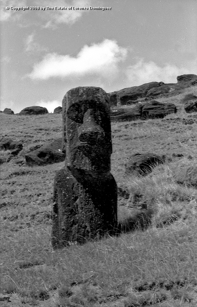 RRI_Ladera_Interior_12.jpg - Easter Island. 1960. Moai on the interior slope of Rano Raraku.