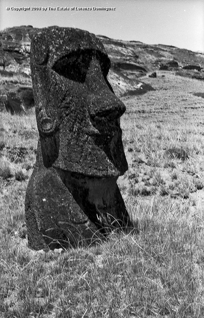 RRI_Ladera_Interior_13.jpg - Easter Island. 1960. Moai on the interior slope of Rano Raraku.