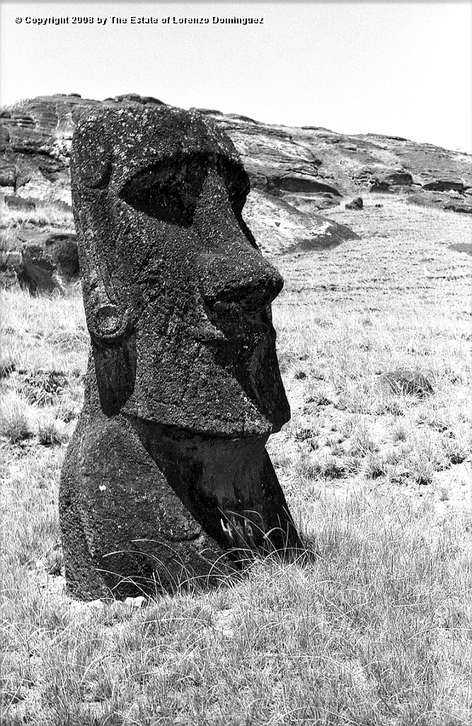 RRI_Ladera_Interior_14.jpg - Easter Island. 1960. Moai on the interior slope of Rano Raraku.