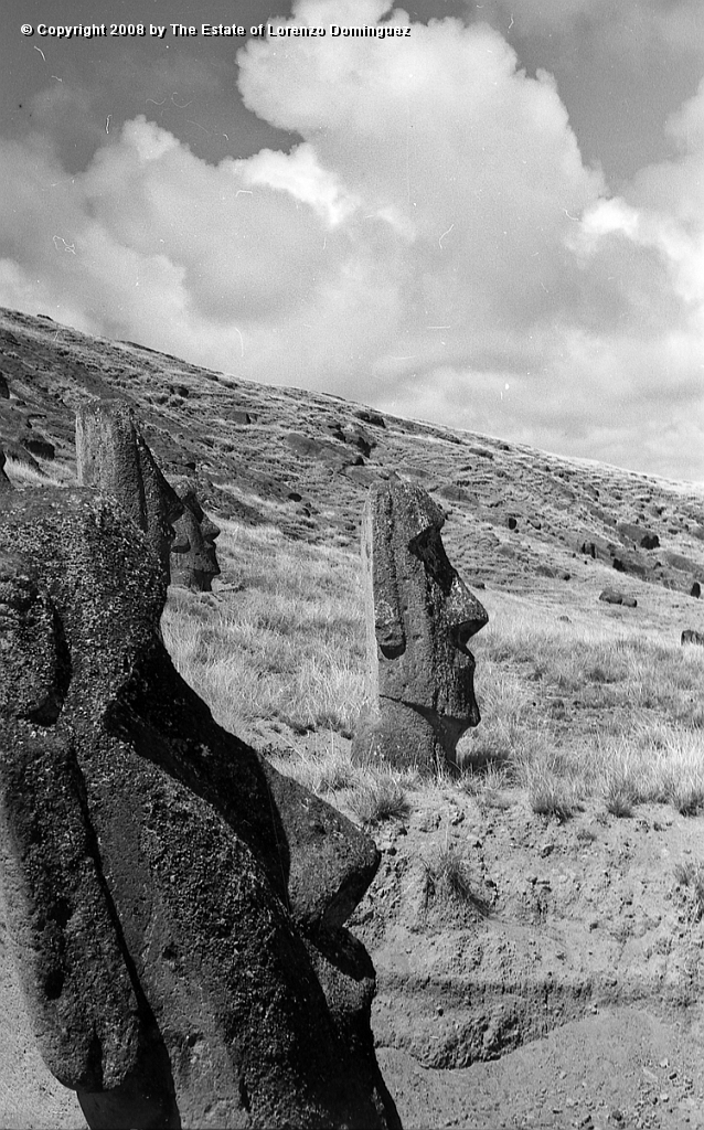 RRI_Ladera_Interior_15.jpg - Easter Island. 1960. Interior slope of Rano Raraku.
