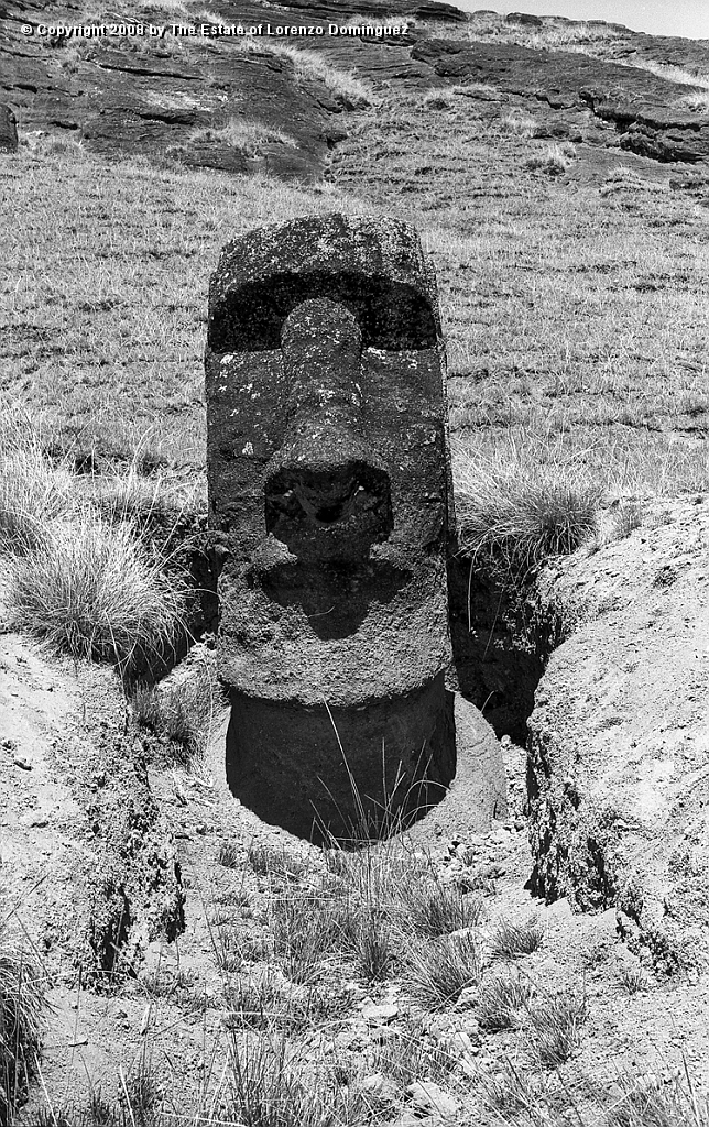RRI_Ladera_Interior_16.jpg - Easter Island. 1960. Moai on the interior slope of Rano Raraku.