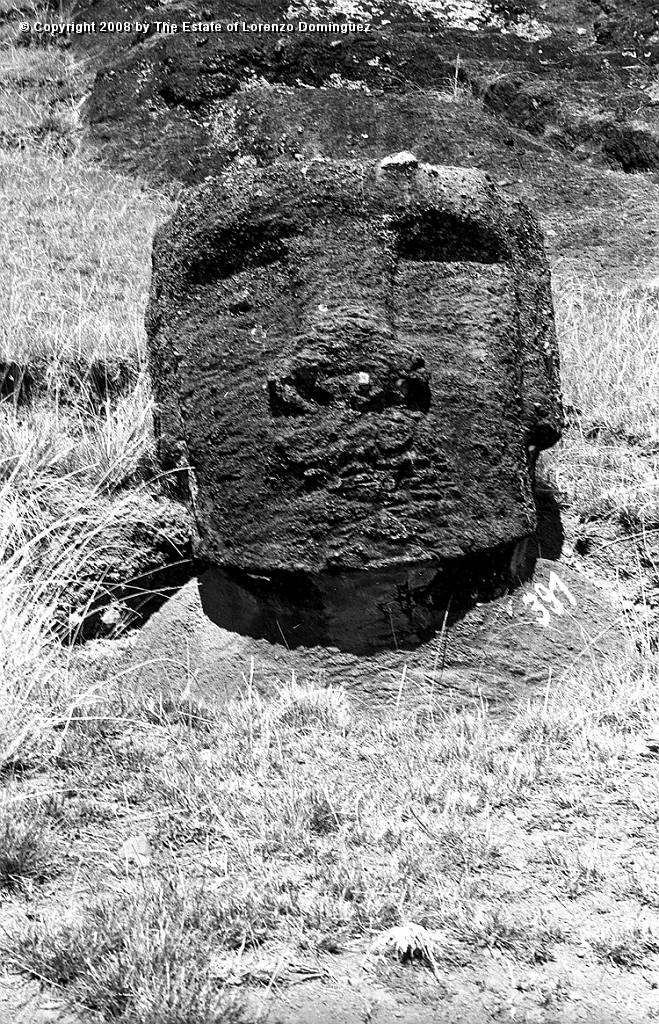 RRI_Ladera_Interior_17.jpg - Easter Island. 1960. Moai on the interior slope of Rano Raraku.