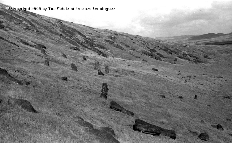 RRI_Ladera_Interior_18.jpg - Easter Island. 1960. Moai on the interior slope of Rano Raraku.