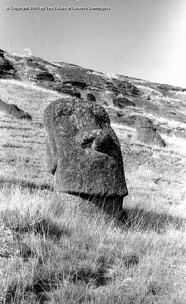 RRI_Ladera_Interior_19.jpg - Easter Island. 1960. Moai on the interior slope of Rano Raraku.