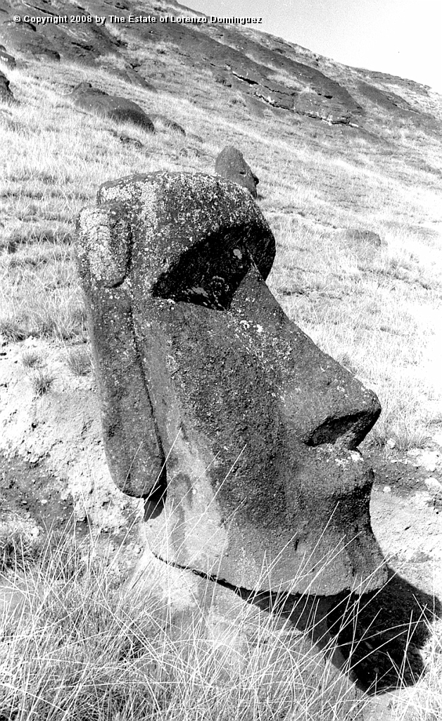 RRI_Ladera_Interior_20.jpg - Easter Island. 1960. Moai on the interior slope of Rano Raraku.