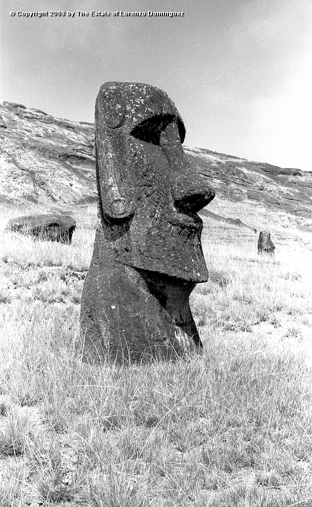 RRI_Ladera_Interior_21.jpg - Easter Island. 1960. Moai on the interior slope of Rano Raraku.
