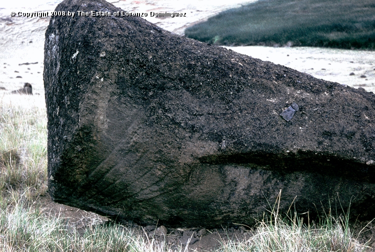 RRI_Mano_de_moai_02.jpg - Easter Island. 1960. Detail of the hands of a moai on the interior slope of Rano Raraku.