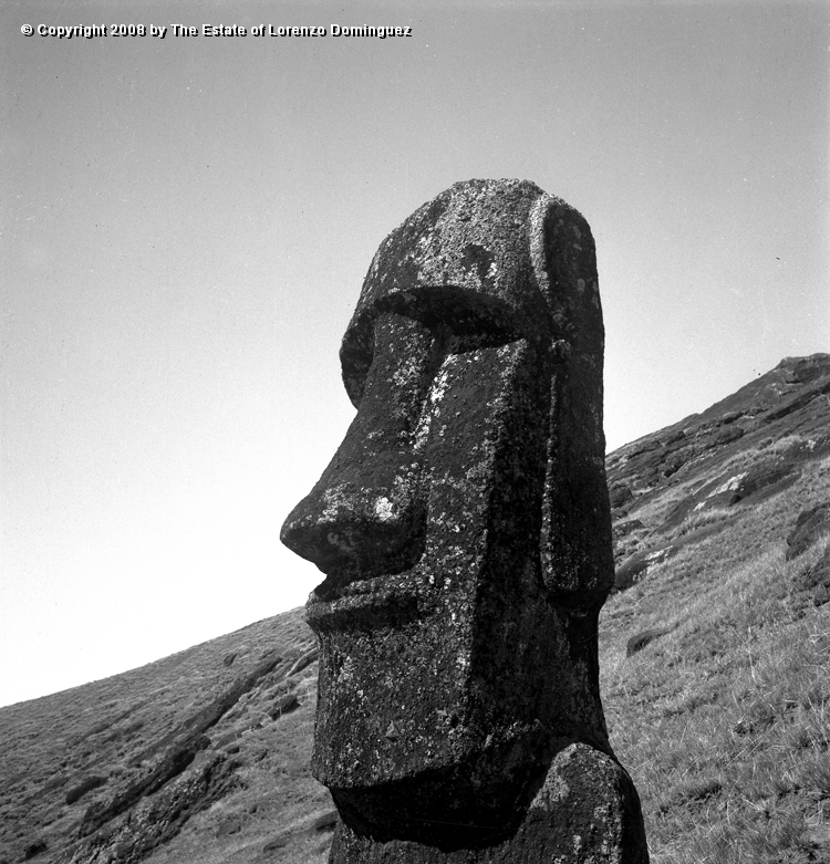 RRI_Orejas_Sanas_02.jpg - Easter Island. 1960. Moai on the interior slope of Rano Raraku. Moai with well preserved ears.