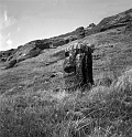 RRI_El_Cristo_03
