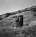 RRI_El_Cristo_04