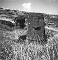 RRI_El_Pensador_01