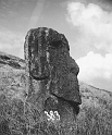 RRI_El_Viejo_01