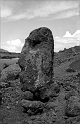RRI_El_Viejo_02