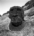 RRI_Extrano_Moai_01