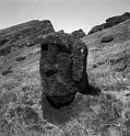 RRI_Extrano_Moai_02