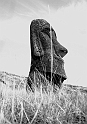 RRI_La_Brizna_01