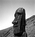 RRI_Orejas_Sanas_02