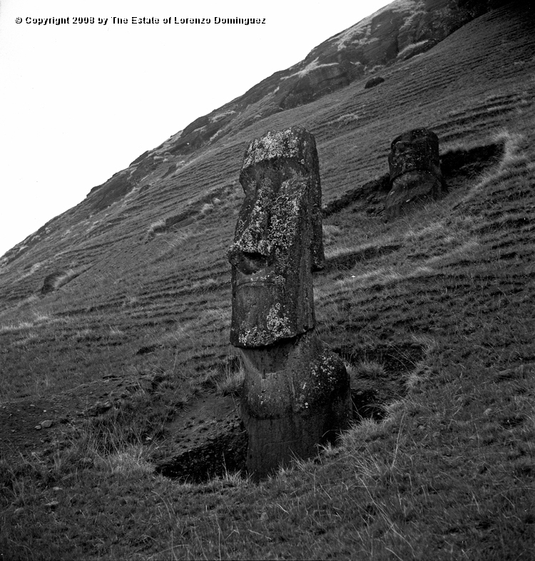 RRE_Angel_19.jpg - Easter Island. 1960. Two moai on the exterior slope of Rano Raraku. On the foreground, the moai identified by Lorenzo Dominguez as "The Angel."