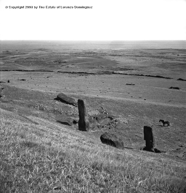 RRE_Angel_21.jpg - Easter Island. 1960. Group of moai including "The Angel" on the exterior slope of Rano Raraku.
