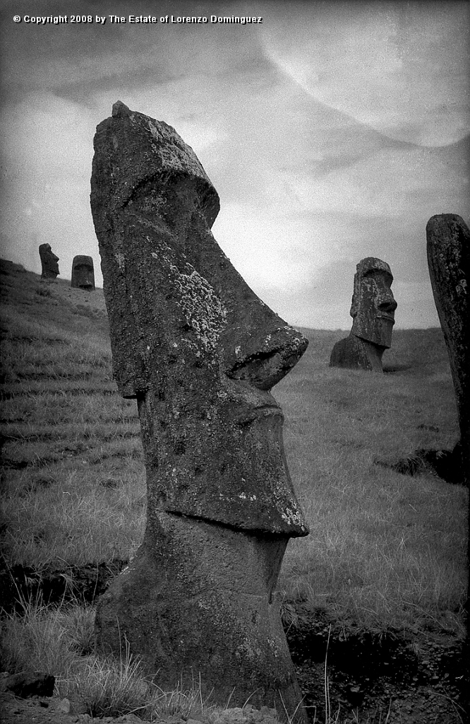 RRE_Angel_26.jpg - Easter Island. 1960. Moai on the exterior slope of Rano Raraku. Identified by Lorenzo Dominguez as "The Angel."