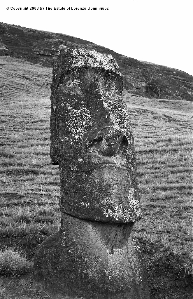 RRE_Angel_27.jpg - Easter Island. 1960. Moai on the exterior slope of Rano Raraku.  Identified by Lorenzo Dominguez as "The Angel."