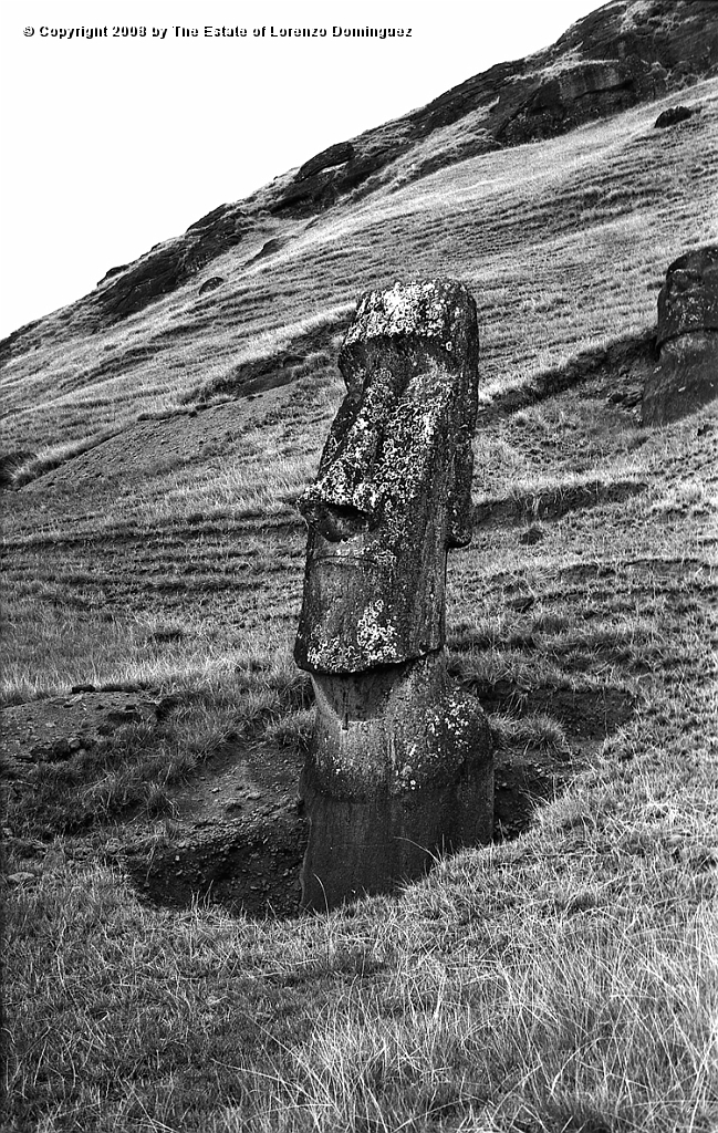 RRE_Angel_28.jpg - Easter Island. 1960. Moai on the exterior slope of Rano Raraku. Identified by Lorenzo Dominguez as "The Angel."