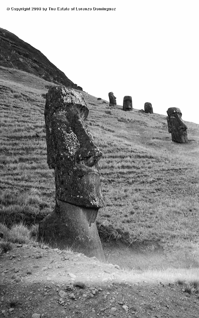 RRE_Angel_29.jpg - Easter Island. 1960. "Sentry" moai on the exterior slope of Rano Raraku. In front, the moai identified by Lorenzo Dominguez as "The Angel."