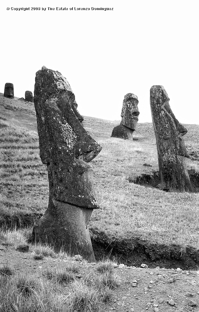 RRE_Angel_30.jpg - Easter Island. 1960. "Sentry" moai on the exterior slope of Rano Raraku. In front, the moai identified by Lorenzo Dominguez as "The Angel."