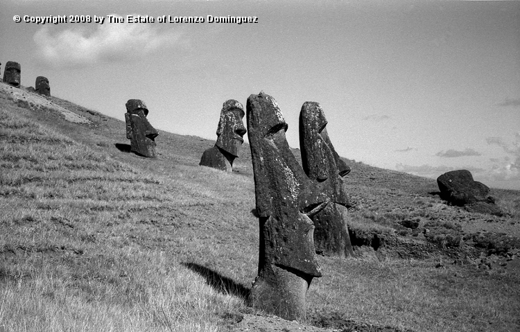 RRE_Angel_32.jpg - Easter Island. 1960. "Sentry" moai on the exterior slope of Rano Raraku. The first one is tne moai identified by Lorenzo Dominguez as "The Angel."