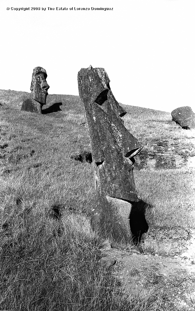 RRE_Angel_34.jpg - Easter Island. 1960. Moai on the exterior slope of Rano Raraku. Identified by Lorenzo Dominguez as "The Angel."